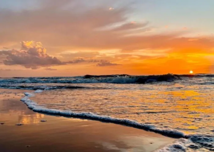 Zeelust By Interhome Casa de Férias Noordwijkerhout