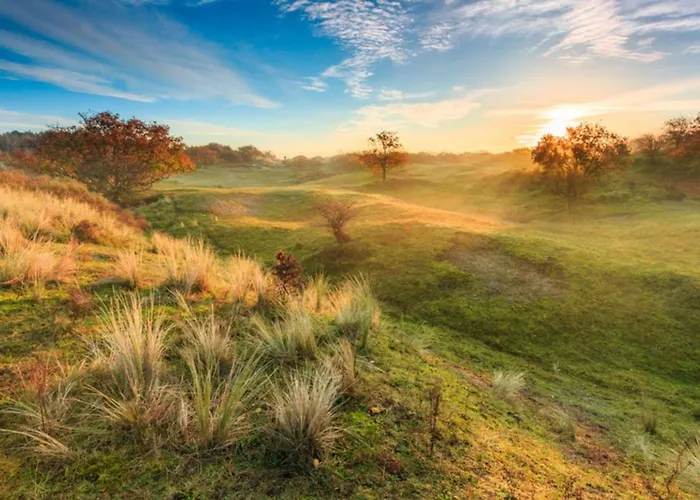 Casa de Férias Zeelust By Interhome Noordwijkerhout